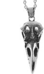 NNM pandantiv Viking Skull Raven - SS8-751P