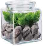 AdTrend Aranjament plante suculente si piatra IIII 10 x 10 x 13 cm (114091D)