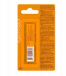 Himalaya Tápláló ajakrúzs Himalaya stiftben Ayurveda Secrets Rich Butter 4g