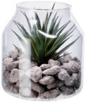 AdTrend Plante suculente artificiale in borcan III 14 x 16 cm (114092C)