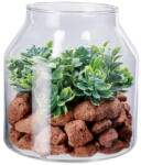 AdTrend Plante suculente artificiale in borcan 14 x 16 cm (114092A)