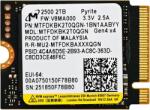 Micron 2500 2TB MTFDKBK2T0QGN