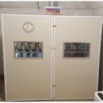 Clocitoarea Ideală Incubator Automat Ouă Struț S-120