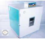 Clocitoarea Ideală Incubator IP-3