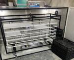 Clocitoarea Ideală Incubator Automat IP-6D