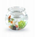 Mobiclinic Nemo Gömb Akvárium 4L (8436035346769)