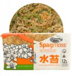 besgrow Moha Sphagnum Tőzeg Besgrow SpagMoss 150g 12L Moha Spagnum szubsztrátum (IMAG00BESGROW15OG)