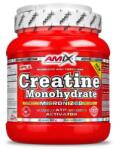 Amix Nutrition Amix Creatine Monohydrate 500g