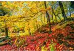 Media Öntapadó és mosható falfestmény Vörös leveles szőnyeg, 250 x 150 cm (FOTOTAP7230)