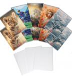 Herlitz Pachet 10 caiete A5 + coperti, 48 file, dictando, hartie 70 g/mp FSC Mix, modele asortate Megamix 2, Herlitz PCKHZ400211730COP