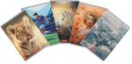Herlitz Caiet A5 48 file, hartie 70g/mp FSC mix, dictando, Megamix 2, diverse modele, Herlitz HZ400211730