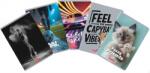 Herlitz Caiet A5 48 file, hartie 70g/mp FSC mix, patratele, Megamix 3, diverse modele, Herlitz HZ400211734