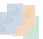 Herlitz Caiet A4 80 file, hartie 70g/mp FSC, coperta PP, dictando, diverse culori, 5 buc/set, Herlitz PCKHZ400211758
