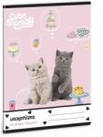 Ars Una Cute Animals: Tea Party leckefüzet - A/5-ös (50845323) - jatekbolt