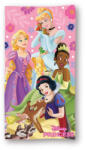 Faro Disney Princess, prosop de baie, 70x140 cm