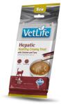  FARMINA Farmina Vet Life Cat Hepatic with Chicken & Tuna 4 x 15 g