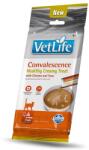  FARMINA Farmina Vet Life Cat Convalescence with Chicken & Tuna 4 x 15 g