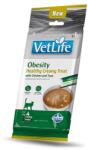  FARMINA Farmina Vet Life Cat Obesity with Chicken & Tuna 4 x 15 g
