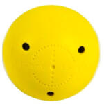 Potent Hockey Minge de antrenament Smart Ball negru