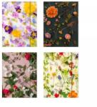 Herlitz Herlitz: Mapă cu elastic Flower, A4 - diverse modele (09058306)