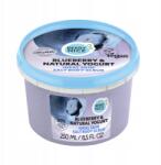 Berry Nice Blueberry joghurtos testradír 250 ml (4745010333590)