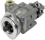 DT Spare Parts Pompa hidraulica, sistem de directie DT Spare Parts 5.42150 (5.42150)
