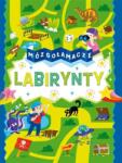 praca zbiorowa Mózgołamacze. Labirinturi