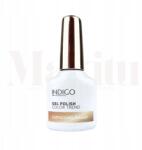 Indigo Nails Hibrid lakk Catpuccino Please! macskaszem mágneses (5902188545050)