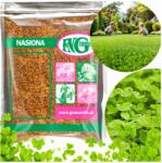 Camipio Mikrolóhere Mag Kislevelű Lóhere Gyepre 500g (MKRK05-CMP)