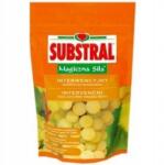 SUBSTRAL A Szőlő varázsereje Substral 350g szuper tápoldat (Nawóz do winorośli)
