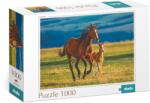 dodo Puzzle Dodo Toys Iapa cu mânz, 1000 piese (4823115901149) Puzzle