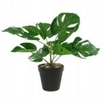 Midex Monstera cserépben 11 x 30 cm (D37305)