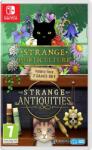 Iceberg Interactive Strange Horticulture + Strange Antiquities (Switch)