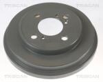 TRISCAN Tambur frana TRISCAN 8120 69219C (8120 69219C) - fixbox