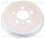 TRISCAN Tambur frana TRISCAN 8120 29222C (8120 29222C) - fixbox