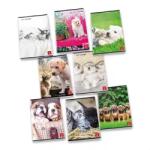Patria Pigna: Dolci Cuccioli négyzetrácsos füzet - A/4-es, többféle (P1111-0381) - jateknet