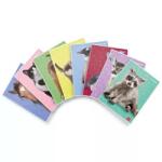 Patria Pigna: Caiet dictando Dolci Cuccioli - format A4, de la clasa a 4-a, modele diverse (P1111 0380)
