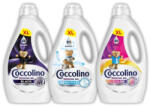 Coccolino mixed mosószer csomag