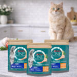 Purina One Senior száraz macskaeledel csirkével (3x750 g)