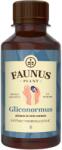 Faunus Plant Tinctura Gliconormus pentru mentinerea glicemiei in limite normale, 200 ml, Faunus Plant