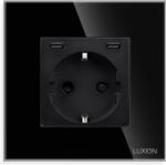 Luxion Priza Fast Charge 20W - USB-C+C cu Rama din Sticla LUXION - culoare negru