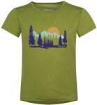 Trollkids Детска спортна тениска Trollkids Girl's Gudvangen Shirt Sport shirt - Hedge Green - размер 116 (EU) (704-5819-0315)