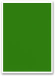 BLUERING Etikett címke, 210x297mm, 1 címke/lap zöld Bluering® (BRET111Z) - irodaszerpiac