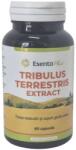 Esența Plant Tribulus Terrestris extract 60 capsule Esenta Plant (MF51469)