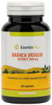 Esența Plant Branca ursului extract 380 mg 60 capsule Esenta Plant (MF51126)