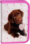 PASO Tolltartó Paso klapnis Kutya 20x13x4cm Dog -Labrador- kutya kollekció Paso (RHP-001)
