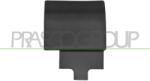 PRASCO Elemente decorative/protectie, panou lateral PRASCO FD9131424 (FD9131424)