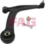 Fag Brat, suspensie roata FAG 821 0869 10 (821 0869 10)
