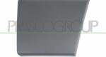 PRASCO Elemente decorative/protectie, portiera PRASCO FT9301406 (FT9301406)