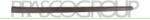 PRASCO Elemente decorative/protectie, portiera PRASCO VG0361404 (VG0361404)